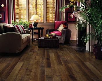 living room with couches and hardwood floors